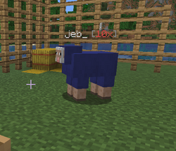 File:Shario Jeb.webp